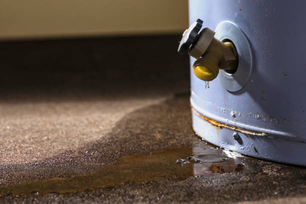 Best Water damage cleanup near me  in Clear Lake, SD