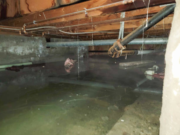 Water damage restoration experts in Clear Lake, SD
