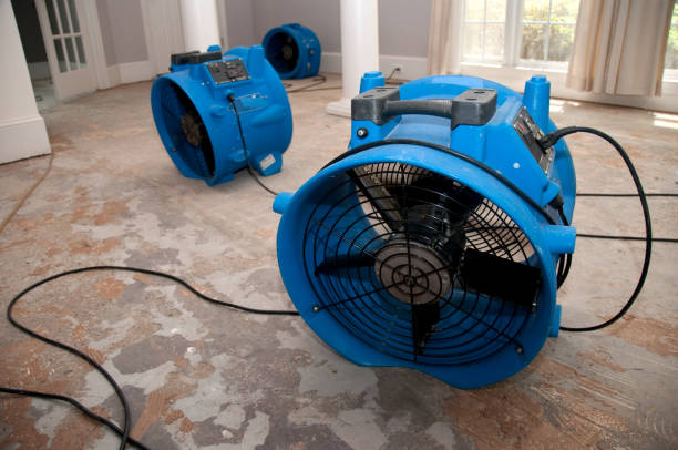 Best Commercial water damage restoration  in Clear Lake, SD