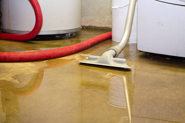 Best Water damage restoration experts  in Clear Lake, SD