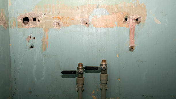 Best Ceiling water damage repair  in Clear Lake, SD