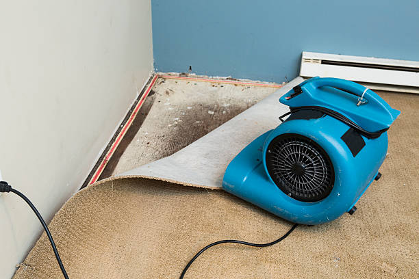 Best Flood damage cleanup  in Clear Lake, SD